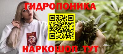 спиды Будённовск