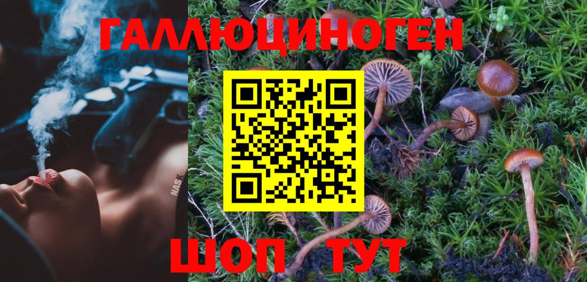 Электрогорск  Псилоцибиновые грибы ЛСД  Вход с VPN 