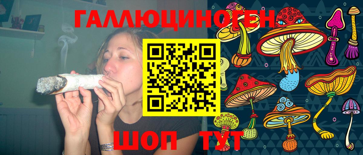 Галлюциногенные грибы Psilocybine cubensis Электрогорск